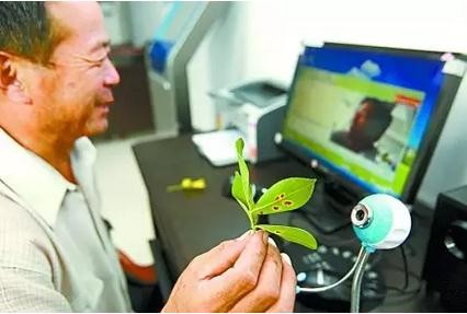 《農業電子商務試點方案》:農業部300億補貼下發