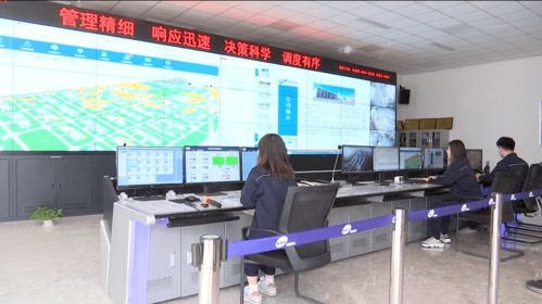 濱海區 以信息技術開發為引擎，筑牢企業安全管理新防線